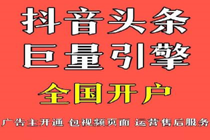 成功SEM服务案例分析报告